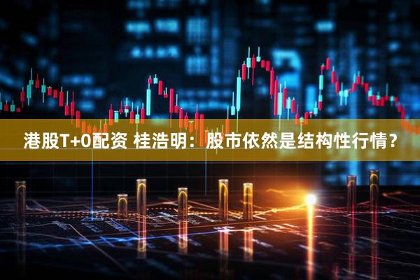 港股T+0配资 桂浩明：股市依然是结构性行情？