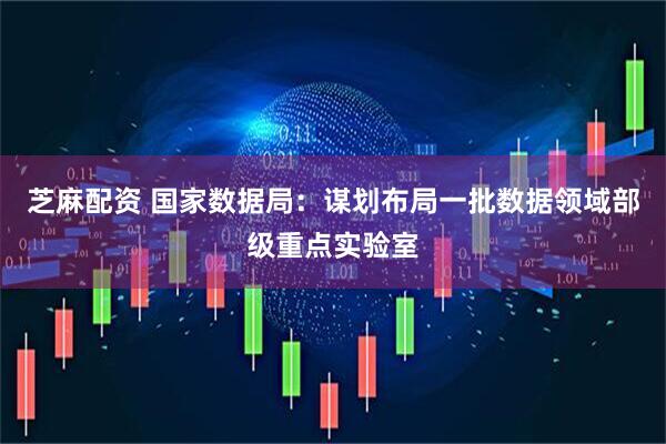 芝麻配资 国家数据局：谋划布局一批数据领域部级重点实验室