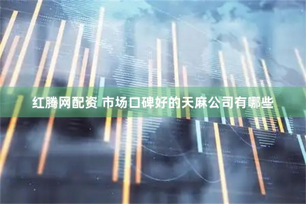 红腾网配资 市场口碑好的天麻公司有哪些